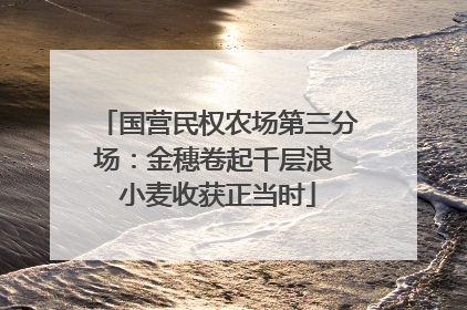 国营民权农场第三分场：金穗卷起千层浪 小麦收获正当时