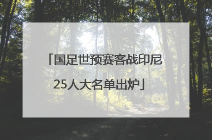 国足世预赛客战印尼25人大名单出炉