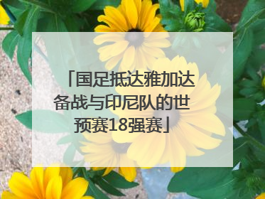 国足抵达雅加达备战与印尼队的世预赛18强赛