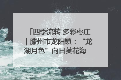 四季流转 多彩枣庄｜滕州市龙阳镇：“龙湖月色”向日葵花海 绘就乡村振兴新画卷