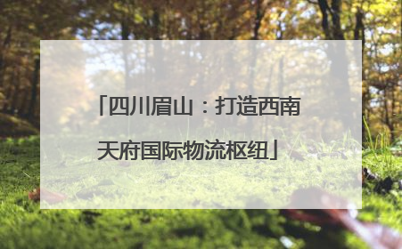 四川眉山：打造西南天府国际物流枢纽