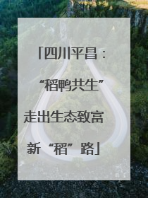 四川平昌：“稻鸭共生”走出生态致富新“稻”路