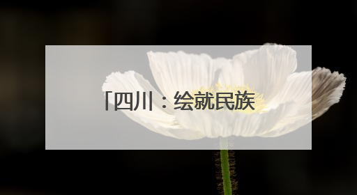 四川：绘就民族团结“互嵌式”社区幸福画卷