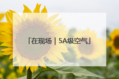 在现场｜5A级空气