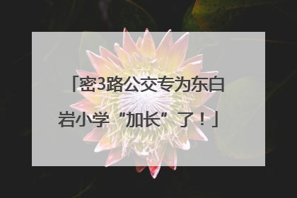 密3路公交专为东白岩小学“加长”了！