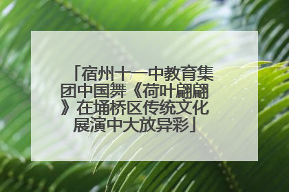 宿州十一中教育集团中国舞《荷叶翩翩》在埇桥区传统文化展演中大放异彩