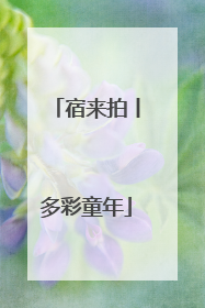 宿来拍丨多彩童年