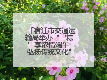 宿迁市交通运输局举办“‘粽’享浓情端午 弘扬传统文化”道德讲堂活动