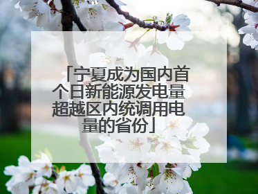 宁夏成为国内首个日新能源发电量超越区内统调用电量的省份