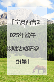 宁夏西吉2025年端午假期活动精彩纷呈