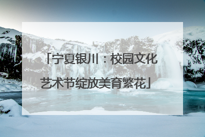宁夏银川：校园文化艺术节绽放美育繁花