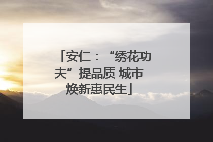 安仁：“绣花功夫”提品质 城市焕新惠民生
