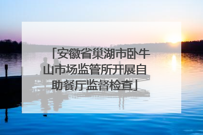 安徽省巢湖市卧牛山市场监管所开展自助餐厅监督检查
