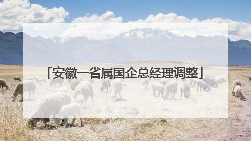 安徽一省属国企总经理调整