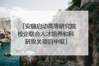 安徽启动高等研究院校企联合人才培养和科研攻关项目申报