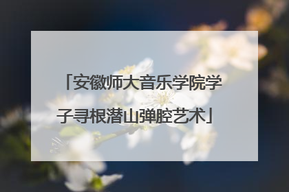 安徽师大音乐学院学子寻根潜山弹腔艺术