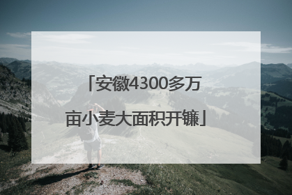 安徽4300多万亩小麦大面积开镰