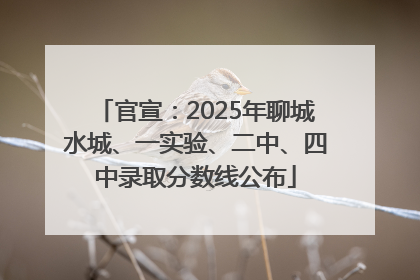 官宣：2025年聊城水城、一实验、二中、四中录取分数线公布