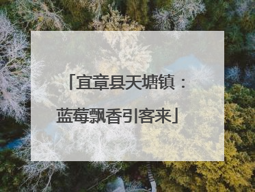 宜章县天塘镇：蓝莓飘香引客来