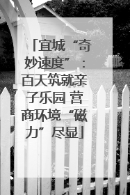 宜城“奇妙速度”：百天筑就亲子乐园 营商环境“磁力”尽显