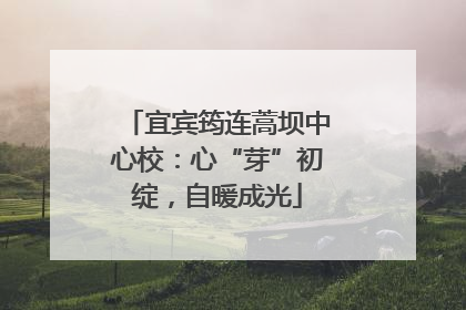 宜宾筠连蒿坝中心校：心“芽”初绽，自暖成光