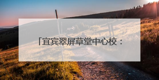 宜宾翠屏草堂中心校：多举措筑牢安全防线，全方位护航校园安全