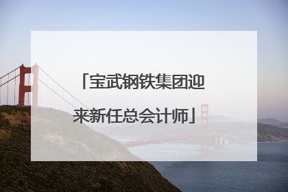 宝武钢铁集团迎来新任总会计师