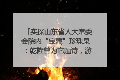 实探山东省人大常委会院内“宝藏”珍珠泉：乾隆曾为它题诗，游客无需预约免费游览