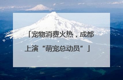 宠物消费火热，成都上演“萌宠总动员”
