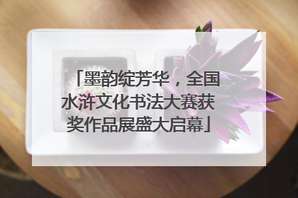墨韵绽芳华，全国水浒文化书法大赛获奖作品展盛大启幕