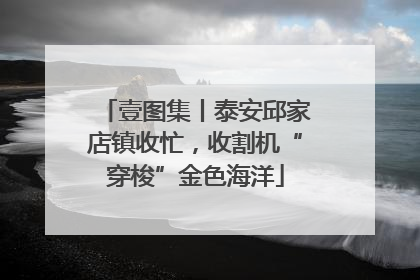 壹图集丨泰安邱家店镇收忙，收割机“穿梭”金色海洋
