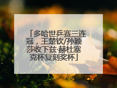 多哈世乒赛三连冠，王楚钦/孙颖莎收下兹·赫杜塞克杯复刻奖杯