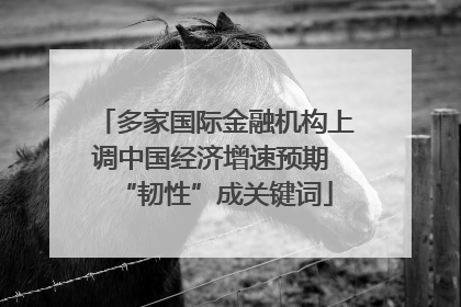 多家国际金融机构上调中国经济增速预期 “韧性”成关键词