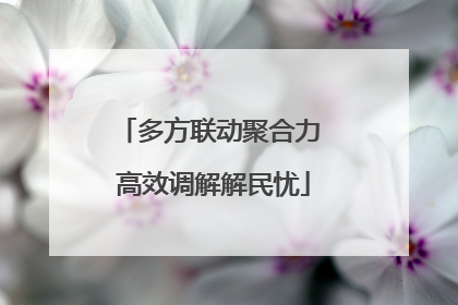 多方联动聚合力 高效调解解民忧