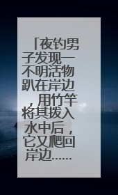 夜钓男子发现一不明活物趴在岸边，用竹竿将其拨入水中后，它又爬回岸边……