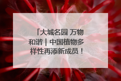 大城名园 万物和谐｜中国植物多样性再添新成员！它只在西藏墨脱