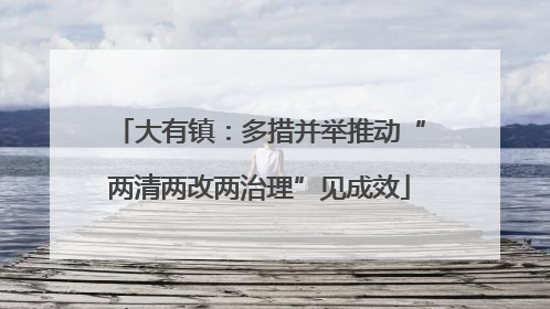 大有镇：多措并举推动“两清两改两治理”见成效
