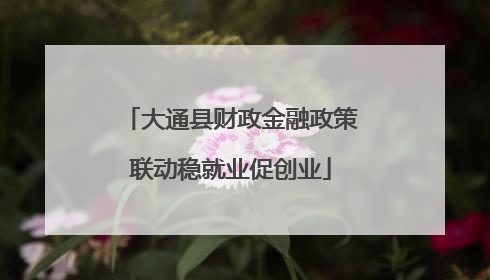 大通县财政金融政策联动稳就业促创业
