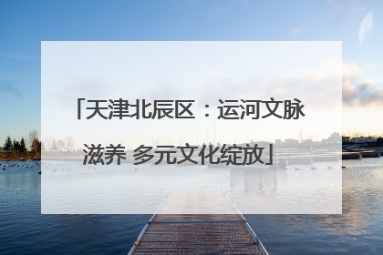 天津北辰区：运河文脉滋养 多元文化绽放