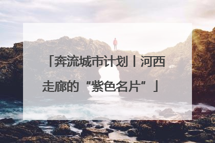 奔流城市计划丨河西走廊的“紫色名片”