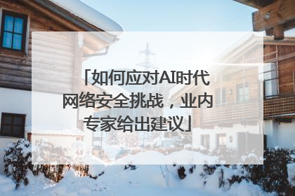 如何应对AI时代网络安全挑战，业内专家给出建议