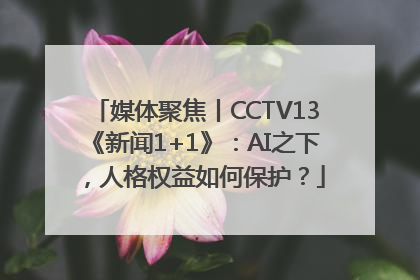 媒体聚焦丨CCTV13《新闻1+1》：AI之下，人格权益如何保护？