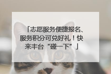 志愿服务便捷报名、服务积分可兑好礼！快来丰台“碰一下”