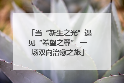当“新生之光”遇见“希望之翼” 一场双向治愈之旅