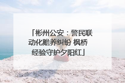 彬州公安：警民联动化赡养纠纷 枫桥经验守护夕阳红
