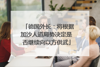 德国外长：将根据加沙人道局势决定是否继续向以方供武