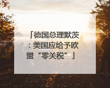 德国总理默茨：美国应给予欧盟“零关税”