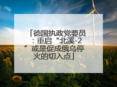 德国执政党要员：重启“北溪-2”或是促成俄乌停火的切入点