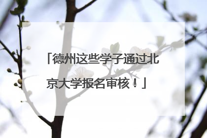 德州这些学子通过北京大学报名审核！