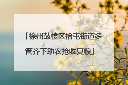 徐州鼓楼区拾屯街道多管齐下助农抢收夏粮